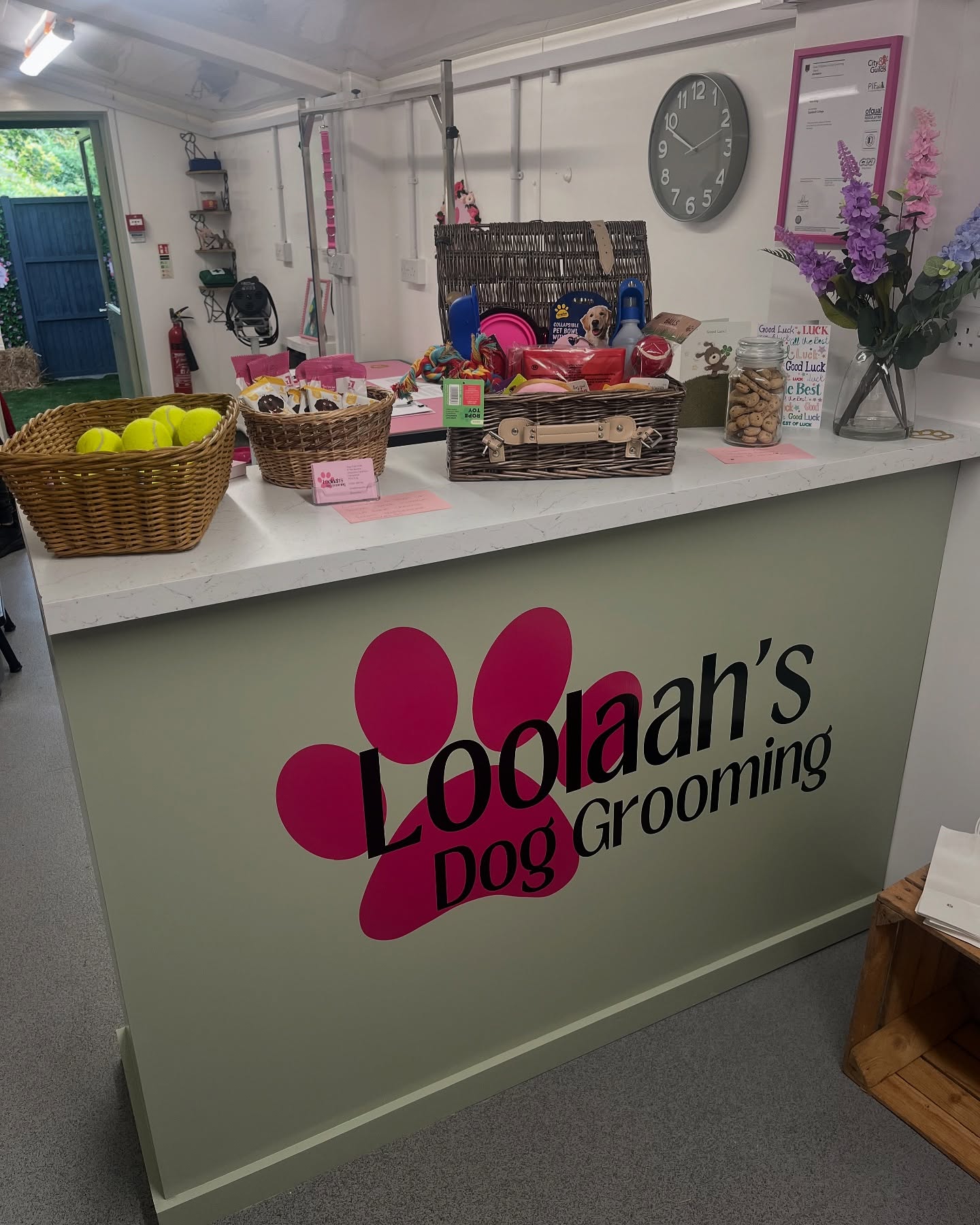 Inside the Loolaah's Dog Grooming salon — bright reception desk with sage-green Loolaah's paw-logo front, baskets of tennis balls and treats, City & Guilds certificate, and fresh flowers